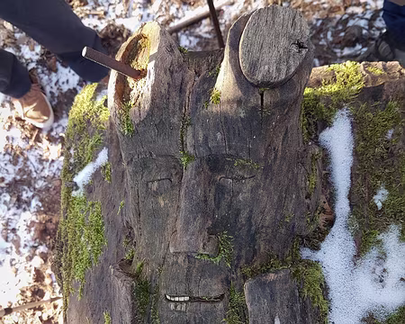 07 Pan caché dans un tronc sur le bas côté