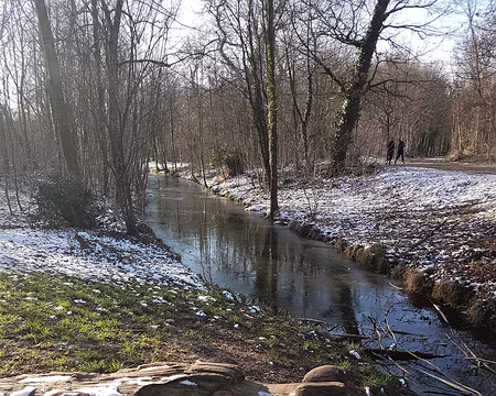 08 Dragon tapi en sortie de sentier