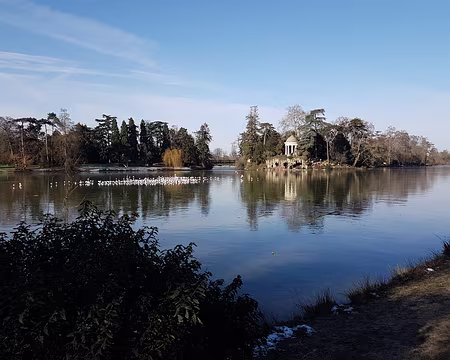 09 Hélas le crocodile est parti suite à travaux