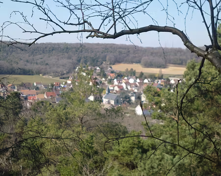 P1130469 Boissy-le-Cutté