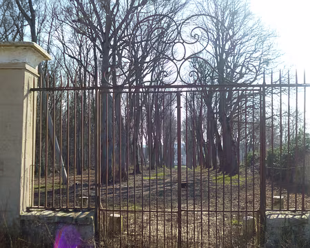 P1130470 Grille du Château d'Orgemont