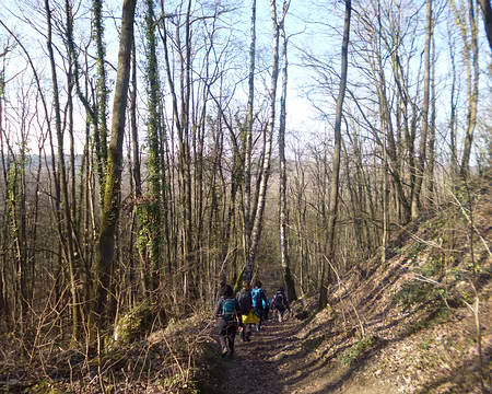 P1130474 Descente vers Lardy