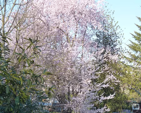 P1130475 La Juine à Lardy. Merci à Hélène pour cette rando printanière en gâtinais français