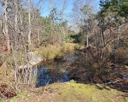 017 Pique-niquons près de cette jolie mare