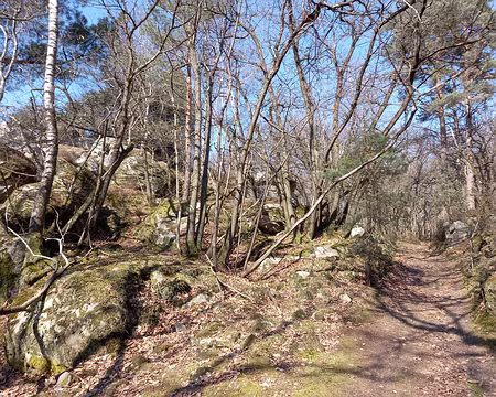 019 Chemin de Trompe Vache (ou de Tronc de Vache).
