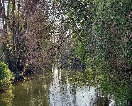 033 La Juine à Lardy