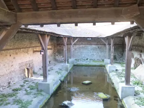 Dominique Dominique F, détail sortie