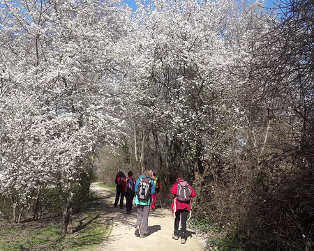 008 La Coulée Verte