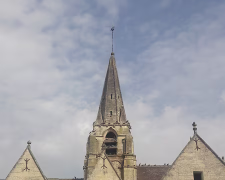 00013 L'église St Maximin