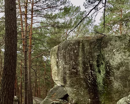 IMG_3103 Une baleine fossile ?