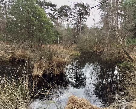 IMG_3111 La mare aux pigeons