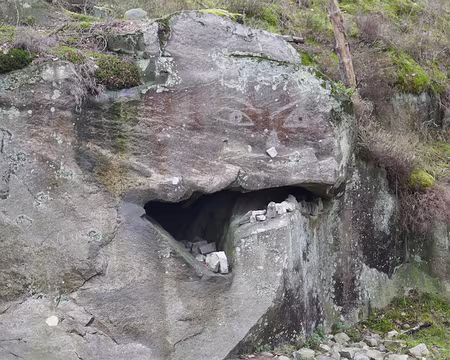 P1060814 On croise de ces monstres à Franchard !