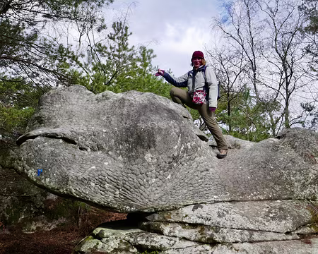 P1060819 Il faut chevaucher le monstre, comme il disait…