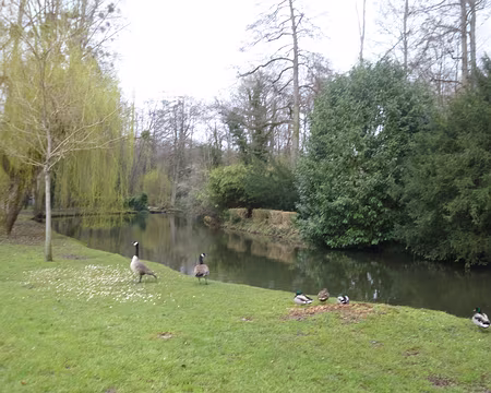 P1130478 La Juine à Janville