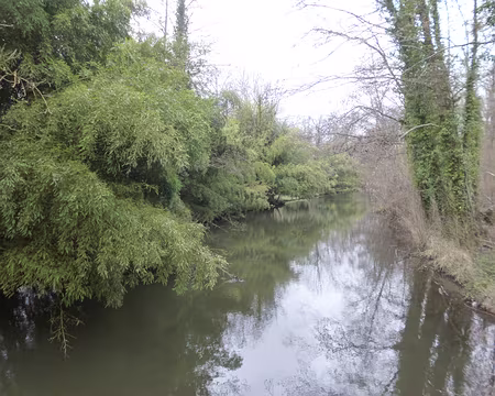 P1130481 La Juine à Chamarande