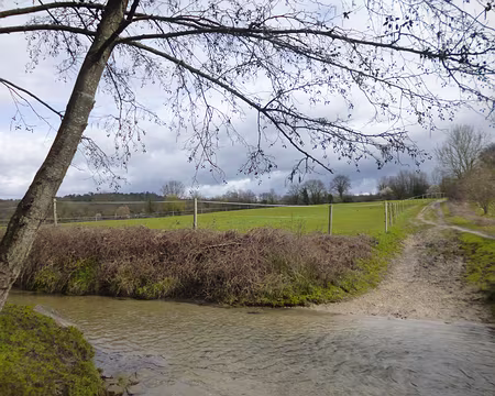 P1130488 Ru se jetant dans la Rénarde, St-Sulpice-de-Favières.
