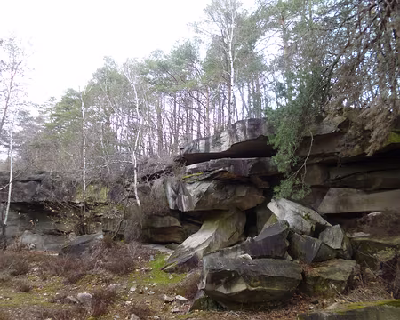 P1130492 Carrières de Madagascar, anciennes carrières de grès exploitées de 1875 à 1942, Souzy-la-Briche.