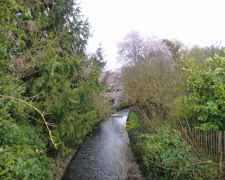 P1130495 L'Orge à Saint-Chéron. Merci à Thérèse.