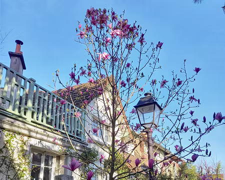 004 Quartier de La Mouzaïa