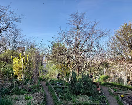 009 Jardin sur la Butte Bergeyre