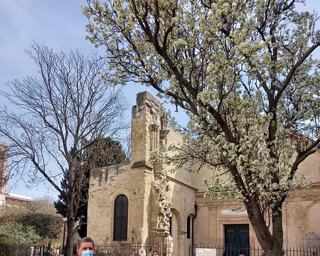 022 Eglise Julien le Pauvre