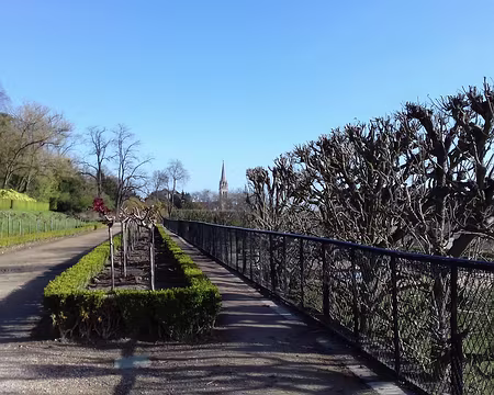 019 L’église de Saint-Cloud vue depuis le parc
