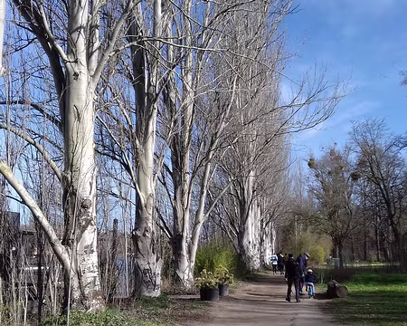 030 Le chemin en bord de Seine