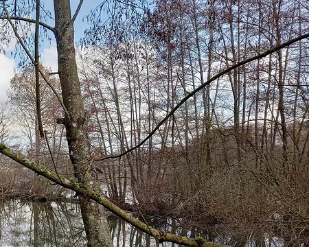 017 Etangs du Vivier