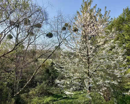 002 Parc Bergère