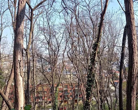 012 Sur la corniche du Fort