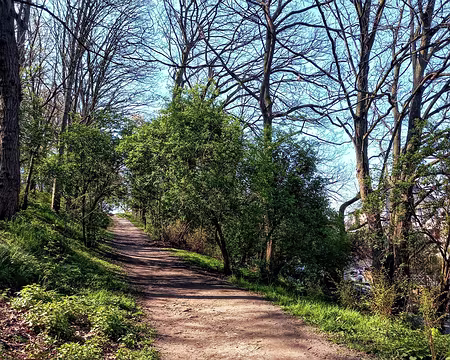 014 La Corniche aux Lilas