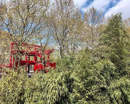 034 Folie et bambous