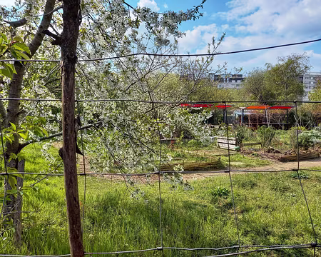 040 Jardins passagers