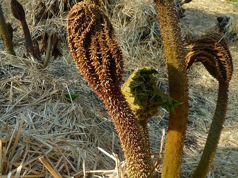 Bernadette Bernadette P, détail sortie