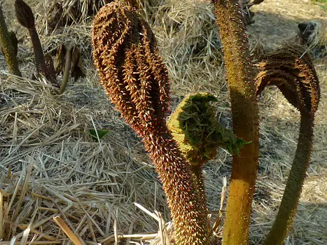 Bernadette Bernadette P, détail sortie