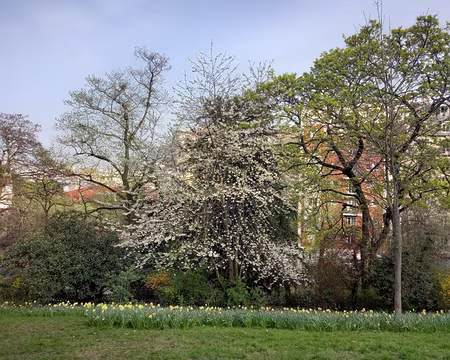 001b Square Samuel Champlain