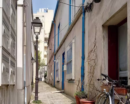 018 Pourquoi y-a t'il toujours un chat dans les impasses?