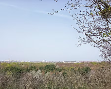 030 Vue de la Butte aux Canons