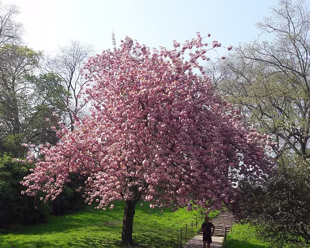 004 Parc des Buttes-Chaumont