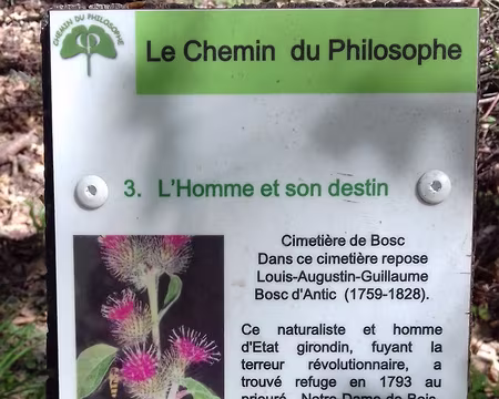 011 Sur le Chemin du Philosophe, le petit cimetière de Bosc …