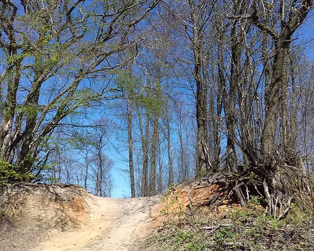 020 Merci à Michel, Nicole, et Bernard pour cette belle randonnée en forêt de Montmorency
