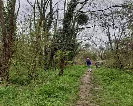 007 Légèrement hors sentier