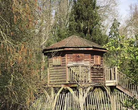 IMG_3269 La cabane perchée