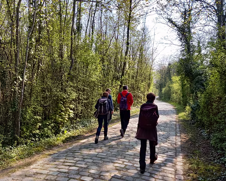 010hi Sentier dans la Haute-Île