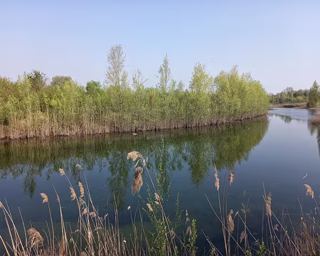 012hi Les oiseaux y nichent bien à l'abri.