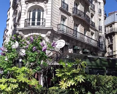 042 Les lilas de la Closerie