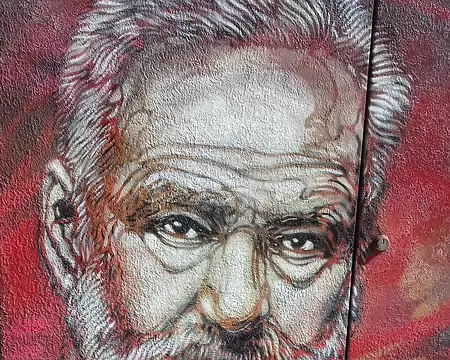032 Victor Hugo (1802-1885) par C215