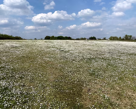 IMG_20210418_142233 Arrivée au sommet du Parc Georges Valbon (photo EG)