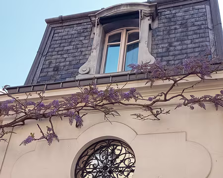 013 Détail sur le chemin