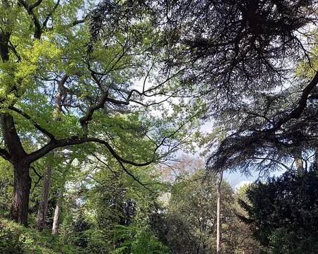 020a Jardin des Plantes